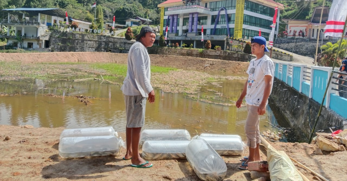 Pemberdayaan Ekonomi Umat - IAKN Toraja Tebar 3.000 Bibit Ikan di Kolam Depan Kampus, Dukung Program Astaprotas Kementerian Agama